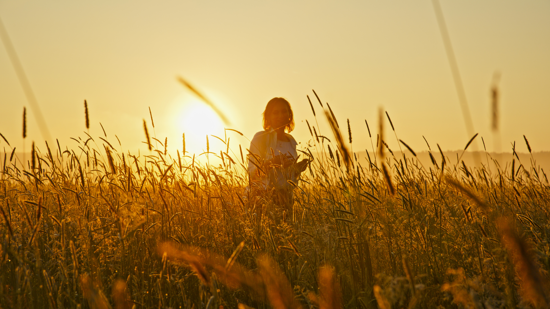 plan de partage